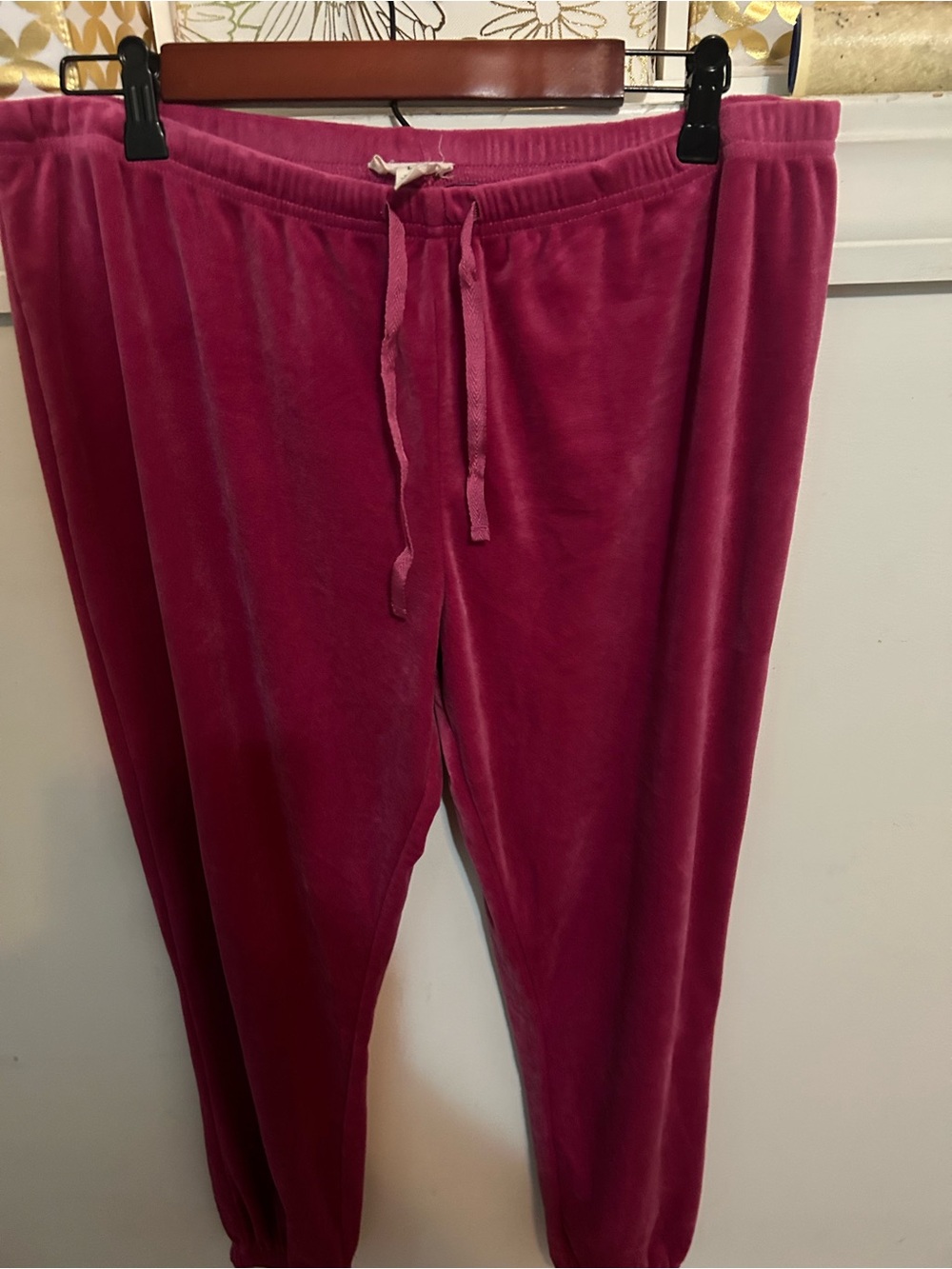 Como Blu Cozy Velour Drawstring Pants in Berry